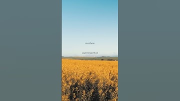 Forgiving someone who isn