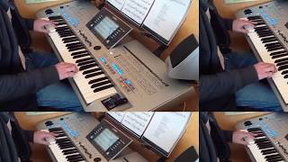 I will always love you - Bodyguard - whitney houston - tyros4 - cover Turtle chords