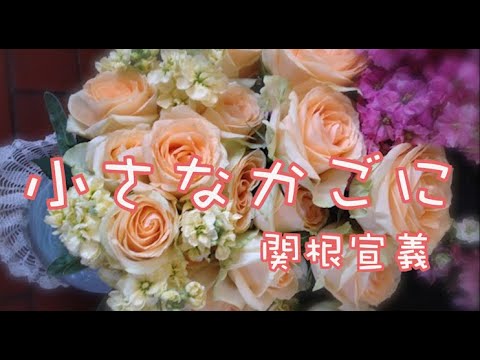 関根 宣義 (Nobuyoshi Sekine) - YouTube