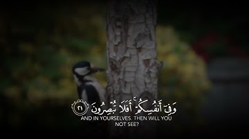 سورة الذاريات الآيه 20