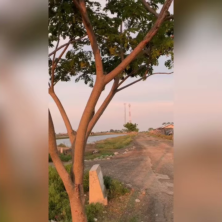 Kirim aku , malaikatmu biar jadi teman hidupku