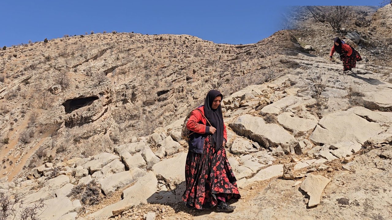 Farideh's daring journey to the rocks to collect healing herbs