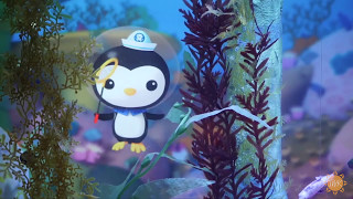 Today With Kandace - Sea Life Grapevine Aquarium Octonauts by Today With Kandace 3,219 views 7 years ago 2 minutes, 51 seconds