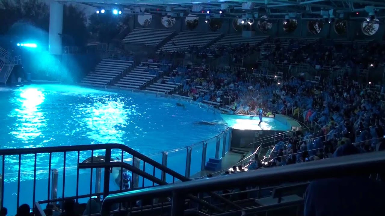 One Ocean Show at SeaWorld Orlando - YouTube
