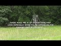 Bow Hunting Hogs May 12 2026 