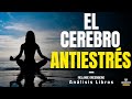 EL CERERO A PRUEBA DE ESTRÉS (Salud mental para vivir sin ansiedad ni estres) - Análisis Libros