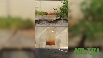 Rainfall Simulator Demo