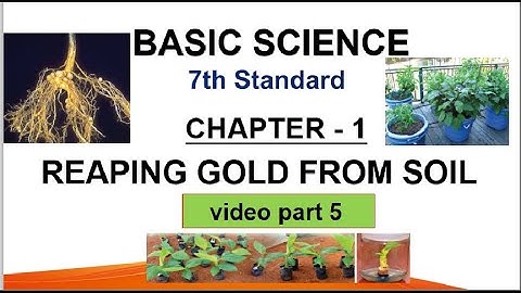 Basic Science 7th Std | Chapter 1 | Video Part 5 | REAPING GOLD FROM SOIL |
