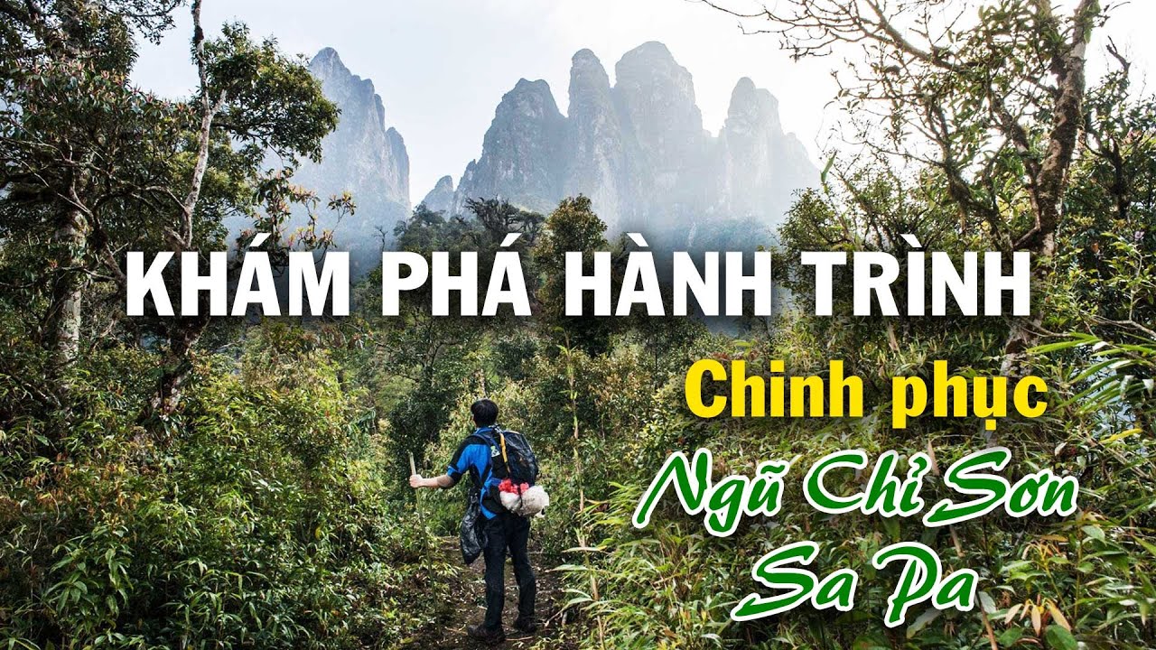 Khám Phá Hành Trình Đầy Thách Thức Tại Núi Ngũ Chỉ Sơn, Sa Pa