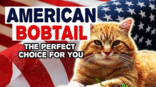 American Bobtail Cats - Everything You Need To Know / may be the perfect choice for you. by Wezoo Family 471 views 1 year ago 3 minutes, 8 seconds