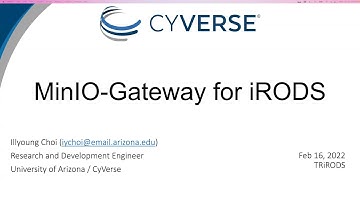 TRiRODS: MinIO-Gateway for iRODS