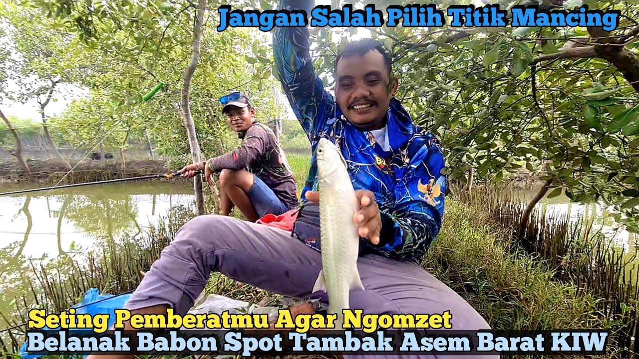 JANGAN ANGGAP SEPELE !! Setting Pemberat Mancing Ikan Belanak Tehnik Pelampung