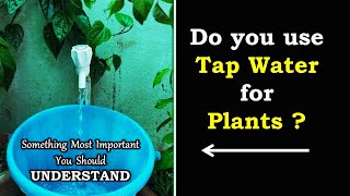 How to water plants | Watering plants with tap water
