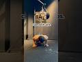 clap push-ups.#отжимание#pushups#بوکسور #бокстренировки#afghan ##boxing #تکنیک