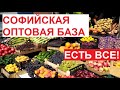 #СофийскаяБаза, #Петербург, август 2023 | #Фрукты и овощи КРУГЛЫЙ ГОД! Есть ВСЕ!