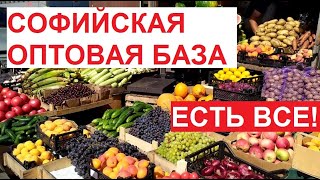 #СофийскаяБаза, #Петербург, август 2023 | #Фрукты и овощи КРУГЛЫЙ ГОД! Есть ВСЕ!
