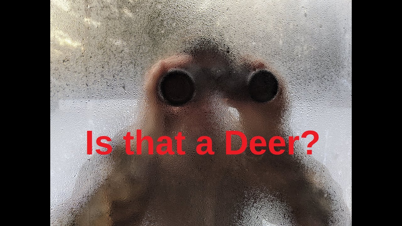 Deer Blind Windows Fogging Up? Best Way to Reduce it! YouTube