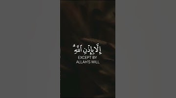 #قرآن #قران #قران_كريم #قرآن_كريم #آيات #ايات #ايات_القرآن_الكريم #ايات_مؤثرة #تلاوات #تلاوة_خاشعة