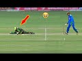 0 iq moments in cricket history ever  asad sports