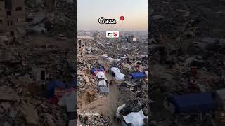 Free Palestine Falestina