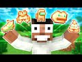 Minecraft, But There are Funny Totems || Minecraft Mods || Minecraft gameplay Tamil