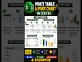 Sales Analysis Using Pivot Table &amp; Chart in MS Excel. #pivottable #pivotchart