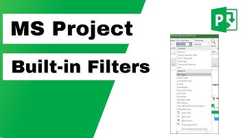 Using Built in Filters in Microsoft Project