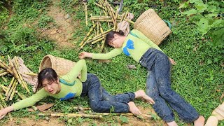 A 17-year-old girl who was cutting sugar cane unfortunately fell and fainted...Ly Tieu Hien.