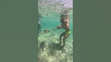 Thumbnail of Underwater Fun - Snorkeling