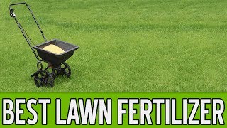 11 Best Lawn Fertilizers 2018
