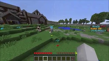 Hacker Report #26 [ramin2003][HiveMC]