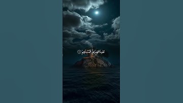تلاوة رائعة للقارئ:حاتم المالكي