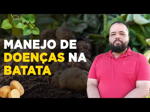 Vídeo: A ferrugem da batata é causada por bactérias?