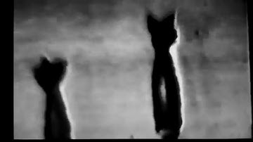 Test Shapes: Auto Pilot (Official)