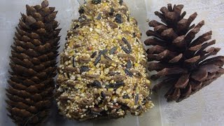 A Peanut Butter Pinecone Bird Feeder DIY, Easy Kid's Craft