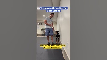 Leash walking skills - dog training video - loose leash walking - how to train a dog