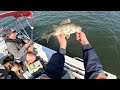 How to find, Catch, Clean and Cook Redfin! (English Perch)