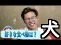 【サイコパスなマナル隊】テキトーに質問に答えていくよ