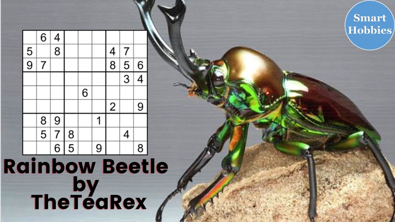 how-to-spot-hidden-pairs-and-triples-sudoku-handmade-classics-45