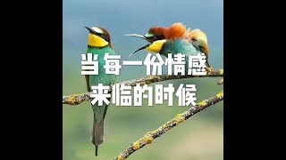 201703 当每一份情感来临的时候22259