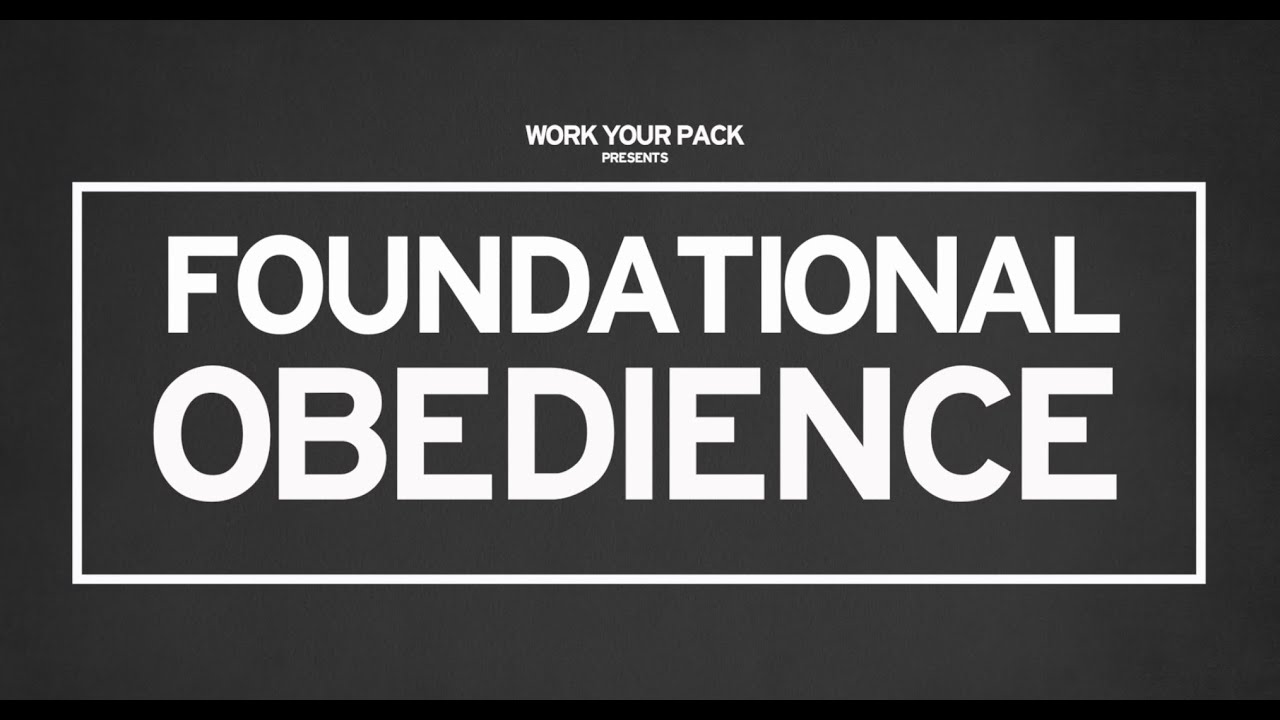 FOUNDATIONAL OBEDIENCE - Now an online self study video course