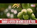 Insólito: el Ejército Argentino intercambia frutas por repuestos para una camioneta