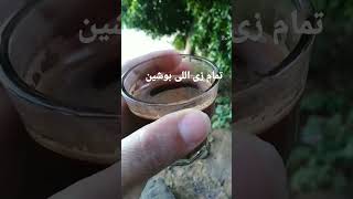 تمام زى اللى بوشين