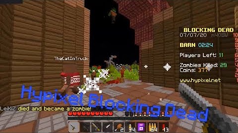 hypixel blocking dead, the OG zombies (minecraft)