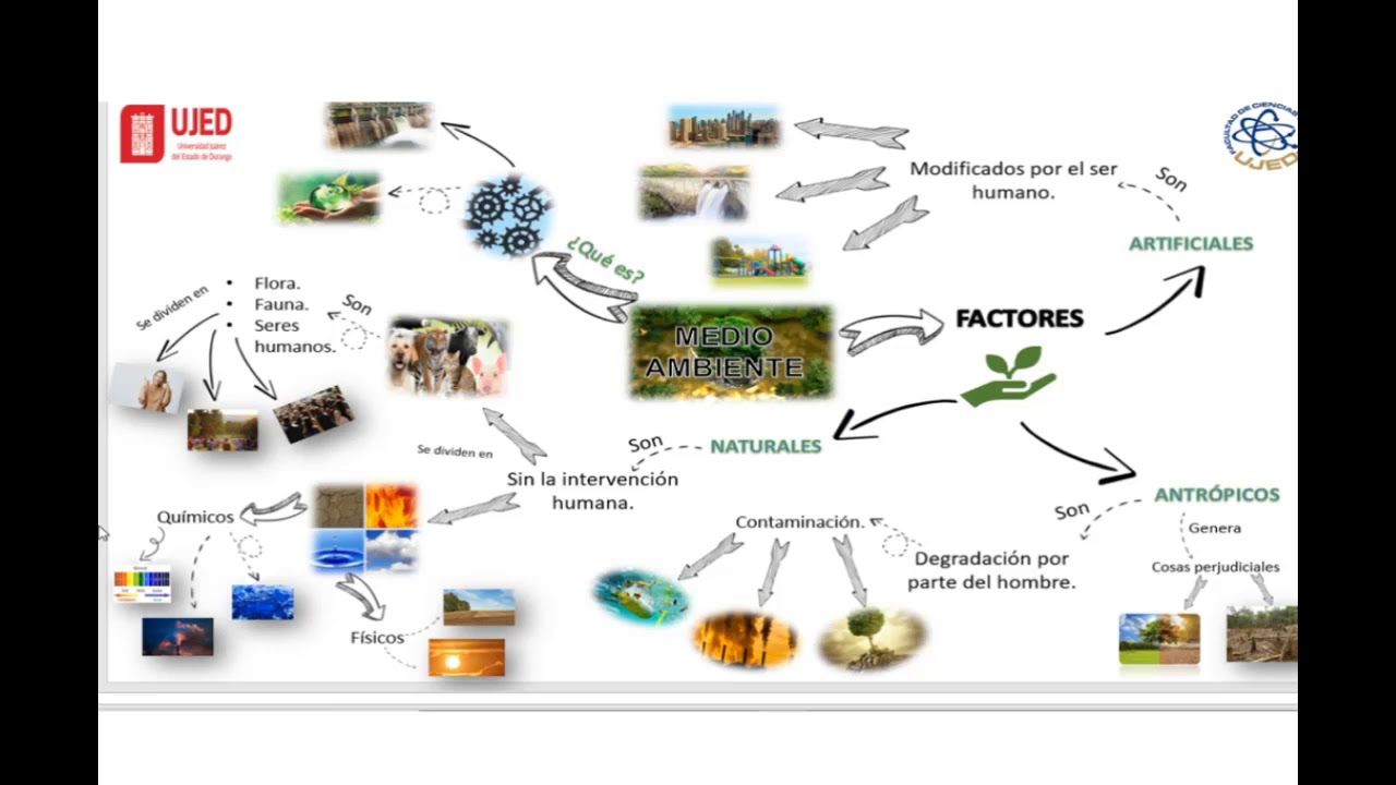 MAPA CONCEPTUAL Y MENTAL SOBRE EL MEDIO AMBIENTE - YouTube