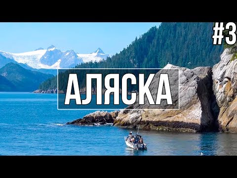 Путешествие по Аляске — залив тихого океана "Аляска" | Фьорды, ледники, природа Аляски.