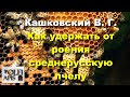 #Кашковский В. Г. Как удержать от роения среднерусскую пчелу ???