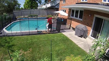 Squirrel Attack