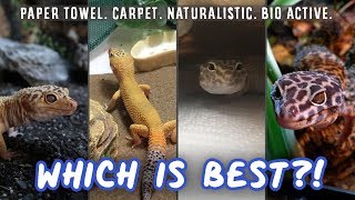 Which Setup Is Best For Leopard Geckos?  Paper Towel, Carpet, Naturalistic or Bio Active