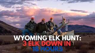 Elk Hunting in Wyoming: 3 Elk Down in 18 Hours || EP. 116